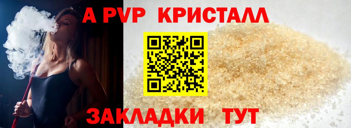 Альфа ПВП СК Хасавюрт