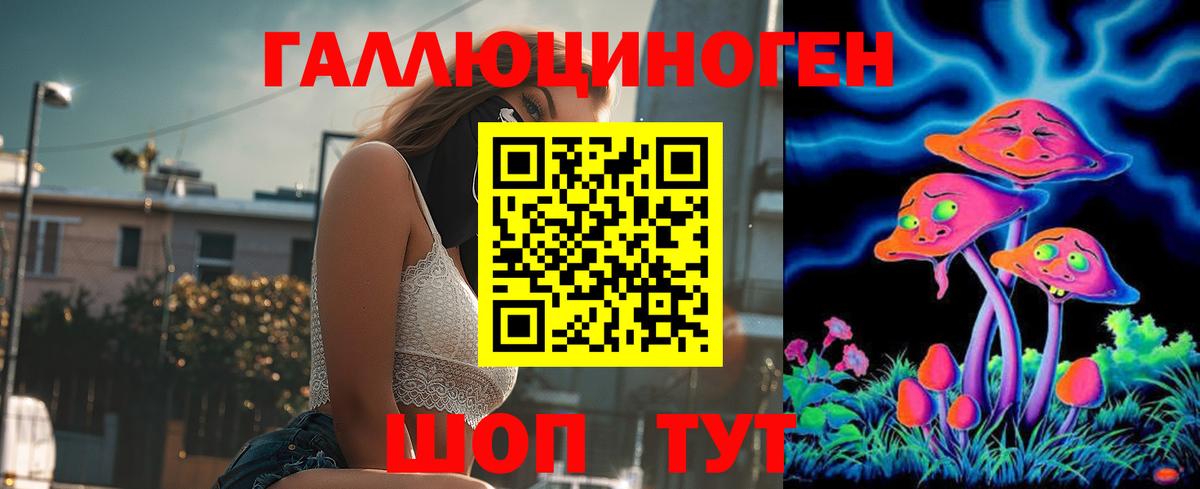 Галлюциногенные грибы Psilocybe Хасавюрт